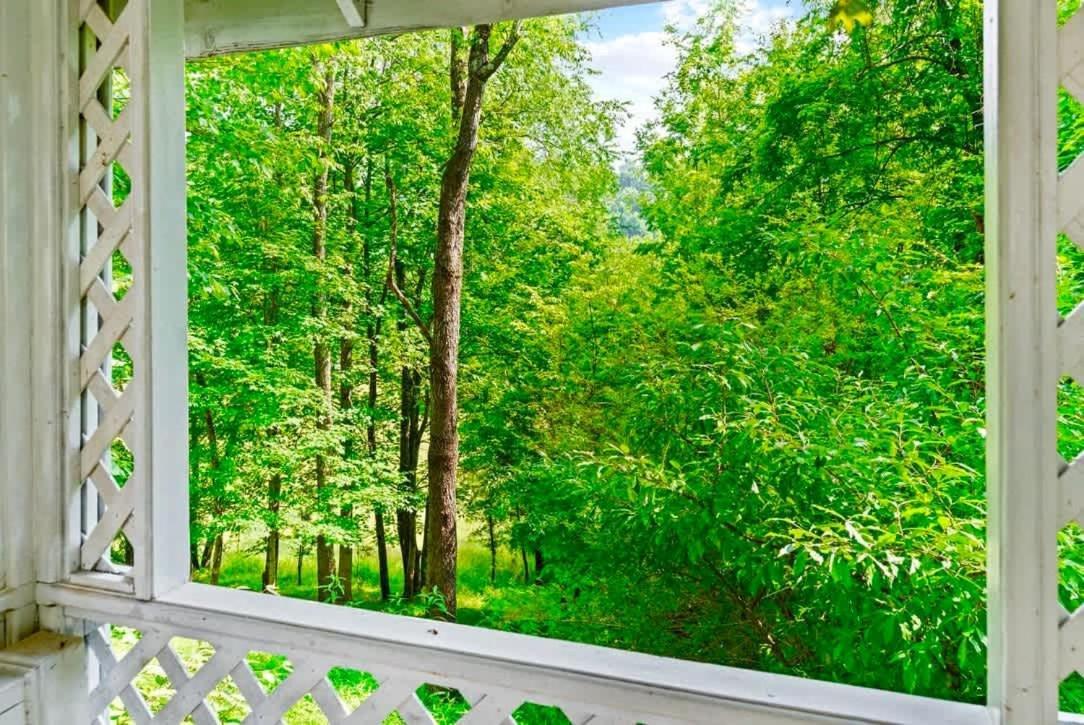 Gated Mansion - Basketball Court Movie Theater Views Big Stone Gap Exterior foto